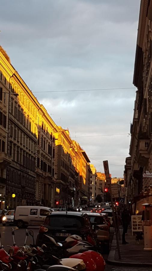 Affittacamere Domus Ferraro Roma